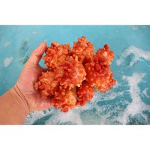 남해안 통영 제철 활멍게 / 깐멍게 500g 1kg 2kg, 활멍게 3kg