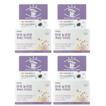 안국건강 눈건강 루테인 지아잔틴 8개월분