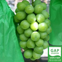 천안 프리미엄 샤인머스켓 1kg 2kg 망고포도 고당도 발송당일수확 산지발송 GAP인증, 천안 샤인머스켓2kg (3송이내외)