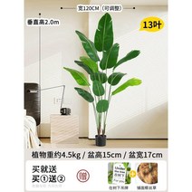 인조 바나나나무 인조목 모조 야자 관엽 휴양지 식물, 여행자 바나나 200cm