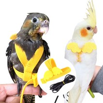 앵무새 반려새 하네스 발목링 산책 리드줄 날림장 집 회색앵무 새장 모란앵무, 쿠팡쁘띠리쉬 3-앵무새하네스-M