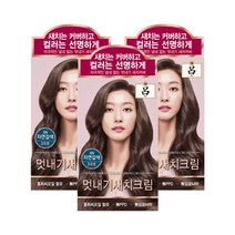 AP 려 우아채 새치크림 염색약 5N 자연갈색x3개, 5N 자연갈색, 3개