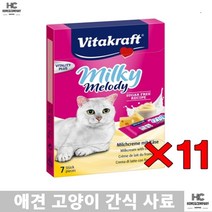 노르웨이숲 노령묘 아비시니아 댕냥이 성장기 고양이 영양 우유대체츄르11p 러시안블루 싱가퓨라