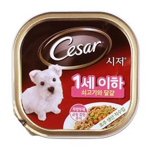 어린강아지캔 쇠고기에그 1세이하 4개 시저사료 펫푸드, 낱개