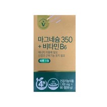 비타민하우스 마그네슘350+비타민B6 90정