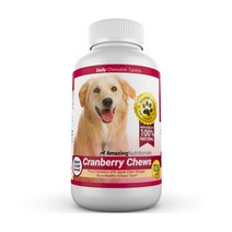 강아지 크렌베리 120츄 대용량 4개월 급여 신장영양제 혈뇨 Amazing Nutritionals