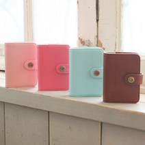 케이스 카드 시소, 민트