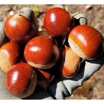 22년 9월 생산 햇 공주밤(대) 2kg 4kg 6kg 8kg, (대) 6kg