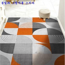 SKANDSALO 현관코일매트 미끄럼 헬스장 베란다 놀이터업소용 롤 카페트 카펫 패턴 층간소음 신발털이, 불빛과 그림자를 스치다. + 100*160