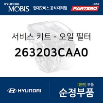 서비스 키트-오일 필터 (263203CAA0) 그랜저HG 그랜저IG 아슬란 맥스크루즈 현대모비스부품몰