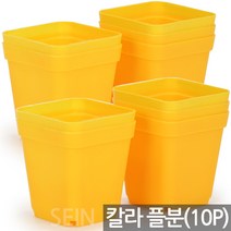 칼라 사각 포트 그린 10개 - 화분 연결 이색 플분 미니사각 플라스틱 화분컵 미니화분 다육이 모종 연결구 망포트 매쉬포트 재배