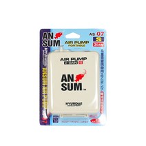 현대 앤썸 국산 2단 휴대용 기포기 S