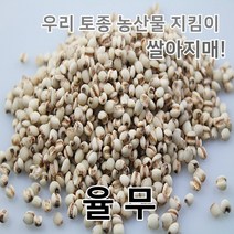 2022년 국산 율무 의이인 율무쌀, 1개, 1kg