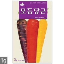 적작두콩 씨앗 10립 - 씨 작두콩씨앗 작두콩씨 작두콩 콩씨앗 콩씨 텃밭 주말농장, 03_모듬당근(1g)