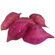 여주 밤고구마 세척 선별 긴중(130g~160g) - 2kg / 군고구마 호박고구마 찐고구마 여주고구마 퍽퍽한 한입밤고구마 꿀고구마, 1개