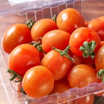 토마토망고 토망고 스테비아 토마토 방울 토망고 대추 방울토마토 샤인 마토 대추방울 토망고1kg, 1박스, 2kg