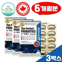 프로바이오틱스 장건강 더 퍼펙트 유산균 이눌린 NCFM 프롤린 식물성 60캡슐x3 프락토올리고당
