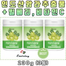 인도 인디안 구스베리 암라 추출물 추출분말 플라보노이드 폴리페놀 철분 염양보충 분말 가루 파우더 40대 50대 60대 중년 여성 남성 부모님 빌베리 아사이베리 크랜베리 블랙커런트 블랙베리 라즈베리 암라가루