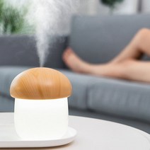 무드등 가습기 미니 초음파 조용한 USB 습도 조절 비염 건강 봄철 사무실 2개, 블랙, 본상품선택