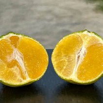 국내산 농장직송 제주 황금향 중과 4.5kg 16-24과