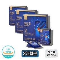 nsm 약국 코스트코 msm 식이유황 관절지킴이 관절연골엔 msm 식용유황 엠에스엔 노인 어르신 60대 중년 할머니 할아버지 장년 MSM 영양제, 3박스, 60포