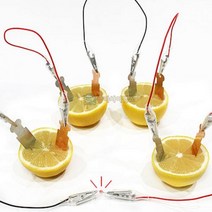 상아사이언스 SA 안전 집게 과일전지 발광다이오드 세트 집게전선 구리판 아연판