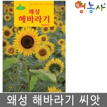 왜성 해바라기씨앗 50립, 왜성해바라기
