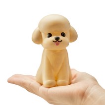 RADON 멍냥이 컬러링 키트 강아지 고양이 만들기 반려견 색칠 미술놀이, 푸들