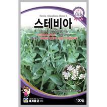 스테비아 100립 허브 씨앗 세계, 1개