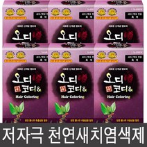 오디코디 앤 새치염색제, 6개, 파우치형-흑색(검정색)