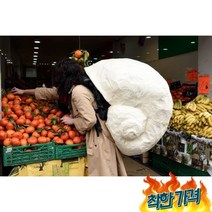 달팽이 껍질 시뮬션 배낭 야외 촬영