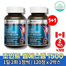 관절N 엠에스엠 조인트 글루코사민 플러스 디메틸설폰 msm 복용법 구루코사민 정 손가락 손목 관절 운동선수 영양제 비타민D 캐나다 직수입, 2박스