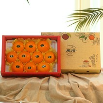 지장샘농장 제주 산지직송 천혜향 가정용 선물세트 2kg 3kg 5kg, 1box, 가정용 천혜향 3kg (10과내외)