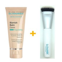 슈라멕 블레미쉬 밤 30ml + 슈라멕 브러쉬 슈라멕 비비