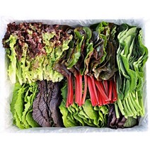 국내산 산지직송 친환경 유기농 모듬 쌈채소 샐러드채소 600g 800g 1kg 쌈야채, 01_유기농 모듬 쌈채소 600g, 1개