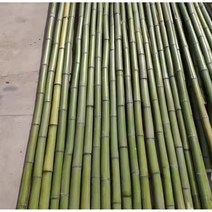 티니클링 단체게임 점프 체육 전통 대회 춤 실내 뉴스포츠 장대 민속 대나무 뱀부댄스 필리핀, 유치원 2.5m 10개볼 세척 샌딩