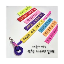 (초코송이네 커스텀)강아지 산책 메세지 슬리브, 2