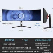 40인치 49인치 5K 75Hz Type C 와이드 LG패널 모니터, 49인치 5K LG패널 75HZ TypeC