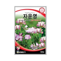 모칸도 (무배)세계 자운영꽃 꽃씨 (500립)
