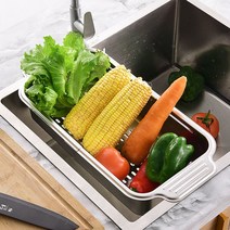 슬라이딩 길이조절 스텐 채반 싱크 설거지 사각 식기건조대 스테인리스 대채 채망 labinlab*216571461kp, 본상품선택