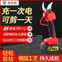 충전 전지가위 독일 수입 전기 전정 가위 과일 나무 리튬 배터리 충전식 정원 강한 두꺼운, [12] [열림 5cm] 큰 건전지 3개에 칼 5개 +