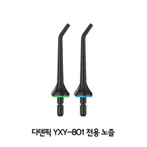 [다덴픽] 다덴픽 300ml 대용량 구강세정기 블랙, YXY-801