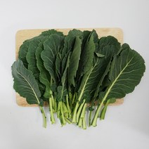 케일 1kg 국내산 쌈채소 특수야채, 1개