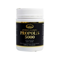 네이쳐스탑 프리미엄 유칼립투스 프로폴리스 5000mg 120정, 120캡슐, 1개