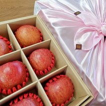 껍질째 먹는 선물용 괴산 사과 꿀사과 고당도 5kg, 선물용대과3kg(9과)