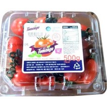 스테비아토마토 토망고 단 토마토, 2kg