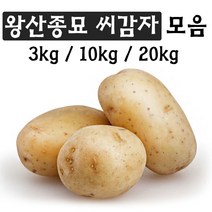 왕산종묘 백작 씨감자(3kg/10kg/20kg) 쪄먹는 감자 찐감자 강원도 햇감자 정품 씨감자 텃밭 주말농장 감자씨 파종, 왕산종묘 백작 씨감자(10kg)