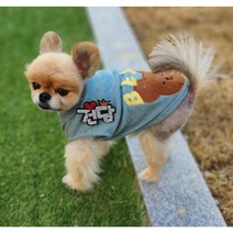 예보들 강아지이름표 애견인식표 강아지인식표 고양이인식표 강아지이름표목걸이 애견목걸이 강아지인식표목걸이 고양이목걸이, 4글자(+1000원), 열쇠고리타입(+500원), 파랑색 하트