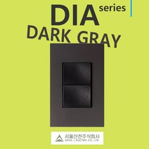 다이아시리즈 다크그레이 스위치 콘센트 방우형 일괄소등 대기전력 자동차단 교체 전기용품, 22) 대기전력 자동차단 1구 콘센트