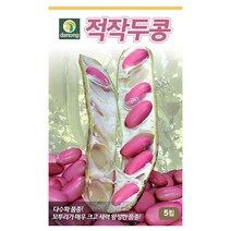 브랜드없음 적작두콩 씨앗 30립[VH], 단품없음